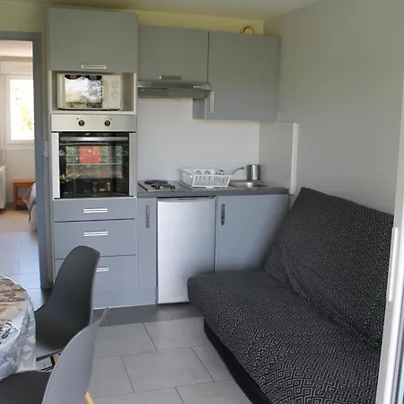 Apartment T2 Avec Terrasse Et Wi-fi A 100m Des Thermes - Fr-1-541-130 *